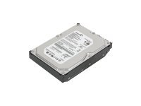 Lenovo - Hårddisk - 1 TB - inbyggd - 3.5" - SATA 3Gb/s - 7200 rpm - buffert: 32 MB 45J7918