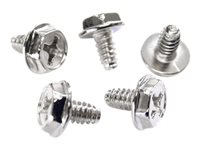 StarTech.com Replacement PC Mounting Screws #6-32 x 1/4in Long Standoff - Screw kit - silver - 0.2 in (pack of 50) - SCREW6_32 - Skruvsats - silver - 0.6 cm (paket om 50) - för P/N: PCSCREWKIT SCREW6_32