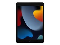 Apple 10.2-inch iPad Wi-Fi - 9:e generation - surfplatta - 256 GB - 10.2" MK2N3KN/A