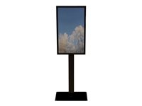 HI-ND Floorstand Glass with Casing 55" - Ställ - för LCD-panel för digital skyltning - metall, glas - svart, RAL 9005 - skärmstorlek: 55" - monteringsgränssnitt: 200 x 200 mm - golvstående - för LG 55XS2, 55XS4 FS5525-5001-02