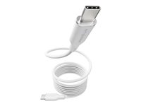 empower - USB-kabel - USB-C (hane) till USB-C (hane) - USB 2.0 - 48 V - 5 A - 1.5 m - Fast Power Charging (240W) - silvervit EM84572