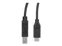 StarTech.com USB-C till USB-B-skrivarkabel - M/M - 3 m - USB 2.0 - USB-kabel - 24 pin USB-C (hane) rak till USB typ B (hane) rak - Thunderbolt 3 / USB 2.0 - 3 m - svart - för P/N: SV231DHU34K6, SV231HU34K6, SV231QDPU34K, SV431HU34K6 USB2CB3M