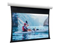 Da-Lite Tensioned Elpro Concept - Projektorduk - väggmontering, takmontering - motoriserad - 230 V - 104" (264 cm) - 16:9 - HD Progressive 1.1 Contrast - RAL 9016 10101045