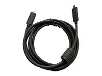 Logitech - USB-kabel - 24 pin USB-C (hane) till 24 pin USB-C (hane) - för Rally 993-002153