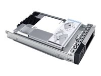 Dell - Kundsats - SSD - Mixed Use - krypterat - 1.6 TB - 512e - 2.5" (i 3,5-tums hållare) - SAS 24Gb/s - FIPS 140 345-BJTZ