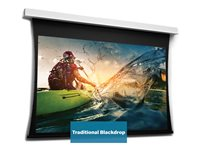 Da-Lite Tensioned DescenderPro - Projektorduk - takmontering - motoriserad - 230 V - 162.6" (413 cm) - 16:10 - Matte White (Tensioned) - RAL 9016 10106680