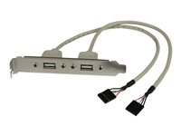 StarTech.com USB A hona-portadapter med 2 portar - USB-panel - USB (hona) till 5 pin ingång (hona) USBPLATE