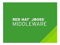 JBoss A-MQ for xPaaS - Standardabonnemang (1 år) - 2 kärnor - administrerad MW00005