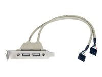 StarTech.com USB A-hona lågprofilstäckplåtsadapter med 2 portar - USB-panel - USB (hona) till 5 pin ingång (hona) USBPLATELP