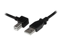 StarTech.com 2m USB 2.0 A to Left Angle B Cable Cord - 2 m USB Printer Cable - Left Angle USB B Cable - 1x USB A (M), 1x USB B (M) (USBAB2ML) - USB-kabel - USB typ B (hane) till USB (hane) - USB 2.0 - 2 m - vänstervinklad kontakt - svart USBAB2ML