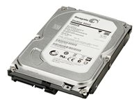 HP - Hårddisk - 1 TB - inbyggd - 3.5" - SATA 6Gb/s - 7200 rpm - buffert: 32 MB - för Workstation Z1 G5, Z2 G4, Z2 G5, Z2 G8, Z2 G9, Z230, Z4 G4, Z420, Z6 G4, Z620, Z640, Z8 G4 LQ037AA