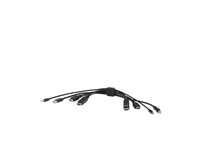 Belkin Secure KVM Combo Cable - Video/USB/ljud-kabel - TAA-kompatibel - USB, minijack, HDMI, DisplayPort (hane) till USB typ B, minijack, HDMI, DisplayPort (hane) - 3.05 m - passiv, stöd för 4K - svart F1DN2CC-HHPP10T