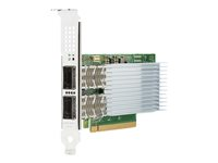 Intel E810-CQDA2 - Nätverksadapter - PCIe 4.0 x16 - 100 Gigabit QSFP28 x 2 - för Edgeline e920; ProLiant DL325 Gen10, DL345 Gen10, DL360 Gen10, DL380 Gen10, DL385 Gen10 P21112-B21