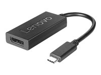 Lenovo - USB-/DisplayPort-adapter - 24 pin USB-C (hane) till DisplayPort (hona) - DisplayPort 1.2a - stöd för 4K - för ThinkBook 14s Yoga G2 IAP; ThinkCentre M75t Gen 2; ThinkPad T14s Gen 3; X1 Nano Gen 2 4X90Q93303