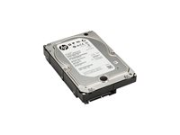 HP - Hårddisk - 4 TB - inbyggd - 3.5" - SATA 6Gb/s - 7200 rpm - buffert: 128 MB - för Workstation Z2 G4, Z2 G5, Z2 G8, Z2 G9, Z4 G4, Z4 G5, Z6 G4, Z8 G4, Z8 G5; ZCentral 4R K4T76AA